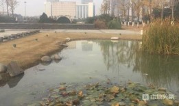 泗阳最新爆料消息今天,揭秘今日热点事件背后的真相